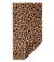 Wild - Leopard