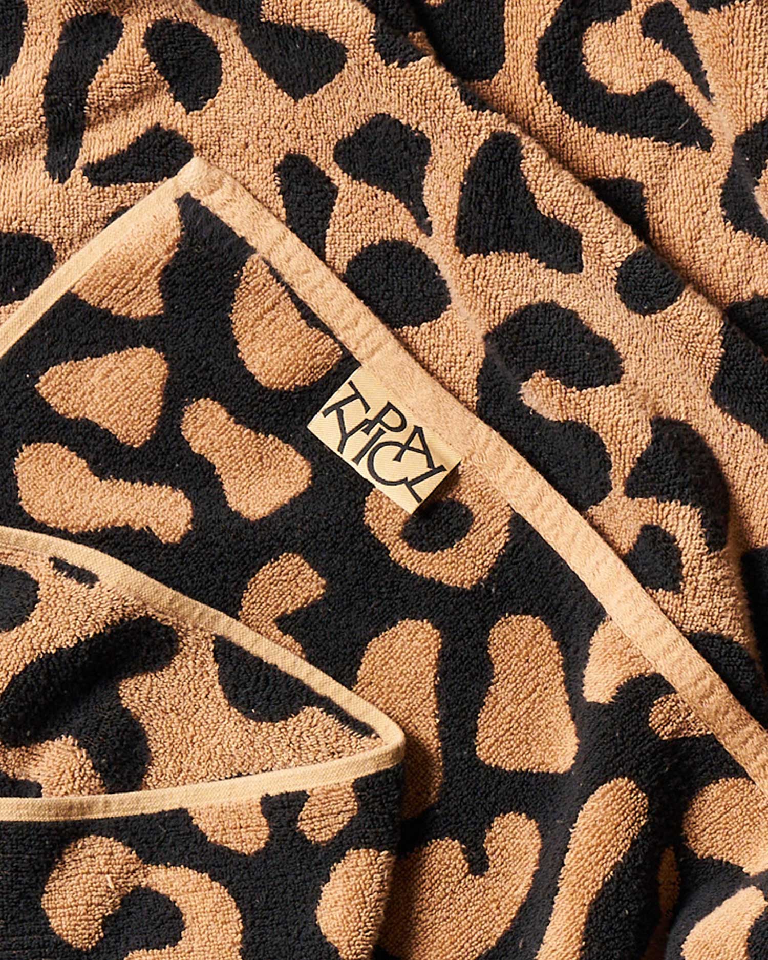 Wild - Leopard