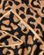 Wild - Leopard