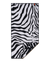 Wild - Zebra